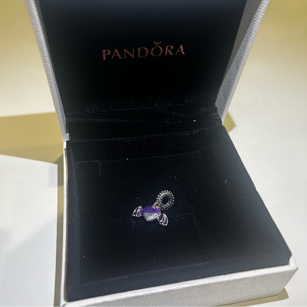 Pandora Charm no Box